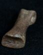 Small Theropod (Raptor) Toe Bone - Hell Creek Formation #11825-1